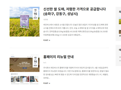 레인버스-홈페이지제작-새로운소식